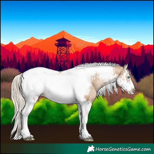 Horse Color:Chocolate Palomino Pearl Tobiano Frame  and Chocolate Palomino Pearl Splash Tobiano Frame 