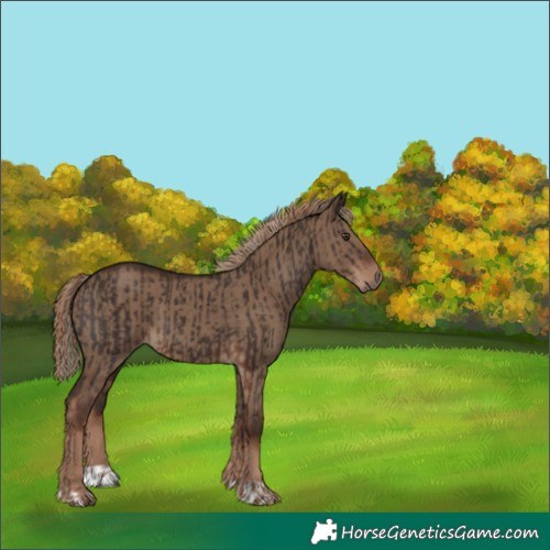 Horse Color:Liver Chestnut and Liver Red Dun