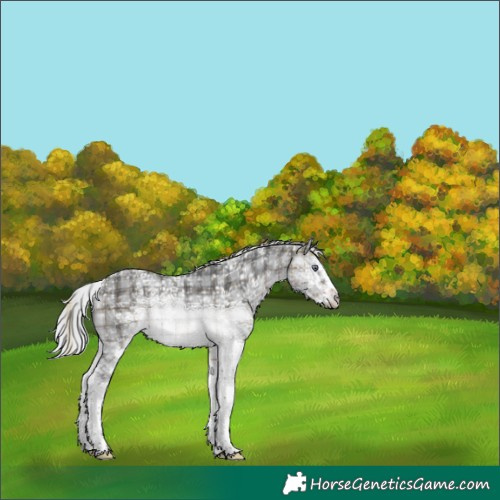 Horse Color:Plaid  White Spotted Silver Brown Chinchilla Ice 