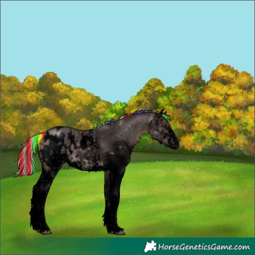 Horse Color:Void Painted White Spotted Silver Brown Blanket 