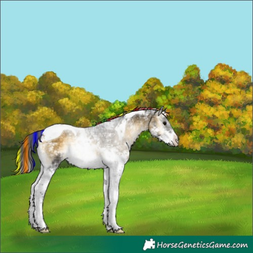 Horse Color:Painted Buckskin Ice Onyx Splash Tobiano