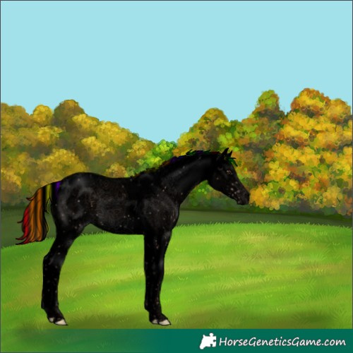Horse Color:Void Painted Liver Red Dun Ice Sabino Rabicano Brindle