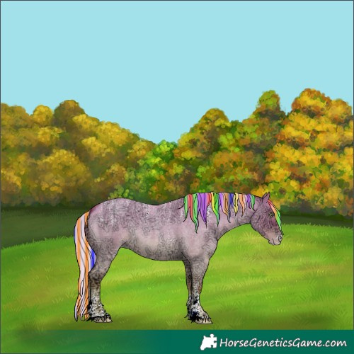 Horse Color:Powder White Painted Silver Sable Champagne Ice Roan Dun Mushroom 