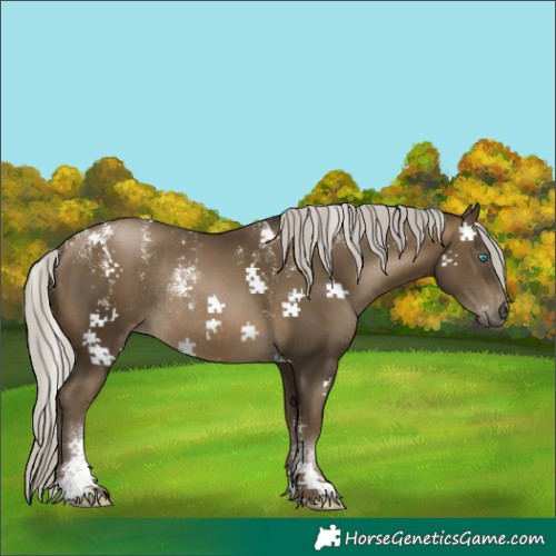 Horse Color:Powder White Gray Silver Brown Rabicano