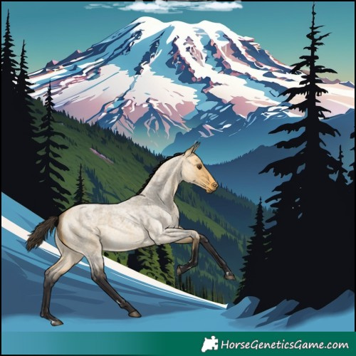 Horse Color:Buckskin Roan Dun 