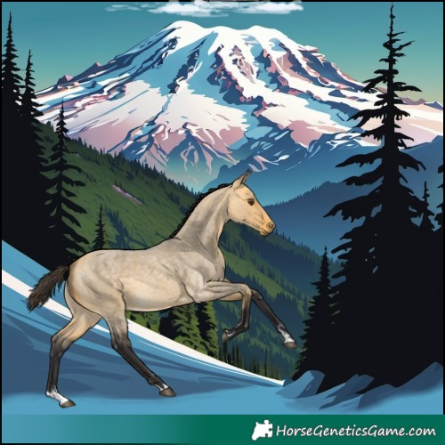 Horse Color:Buckskin Roan Dun 