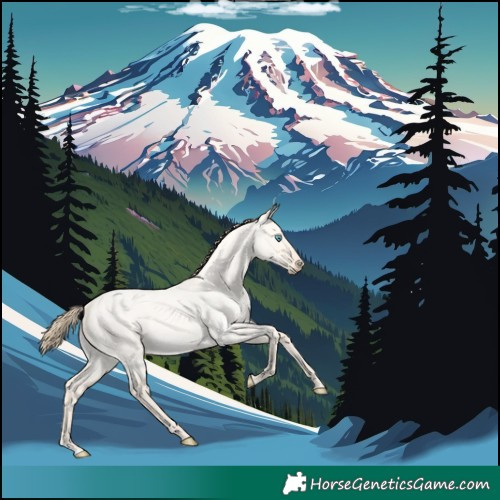 Horse Color:Perlino Roan Dun 