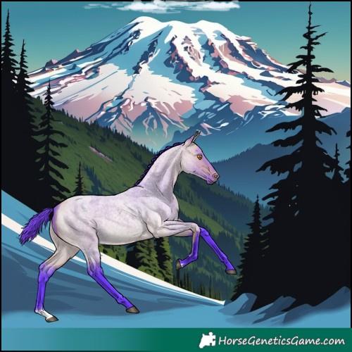 Horse Color:Watercolor Buckskin Roan Dun Rabicano