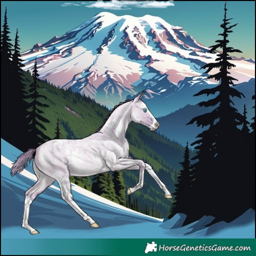 Horse Color:Watercolor White Spotted Perlino Roan Dun Splash Rabicano