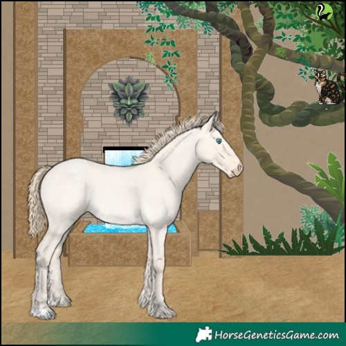 Horse Color:Perlino Roan Dun