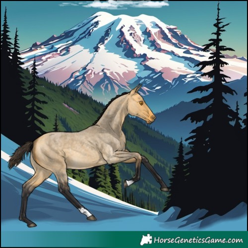 Horse Color:Buckskin Roan Dun 