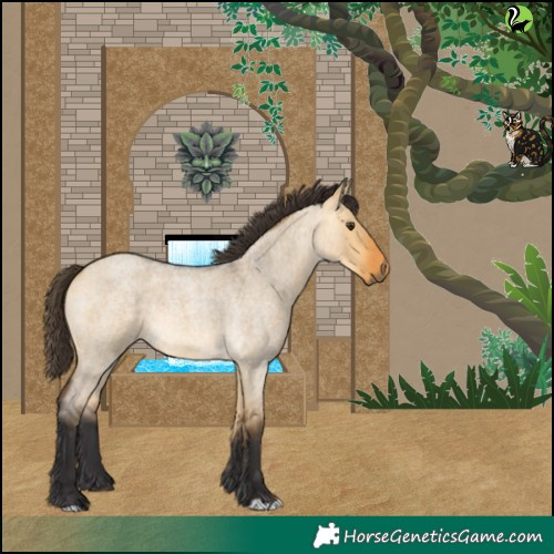 Horse Color:Buckskin Roan Dun