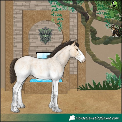 Horse Color:White Spotted Buckskin Roan Dun 