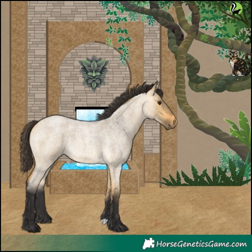Horse Color:Buckskin Roan Dun