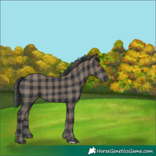 Horse Color:Plaid  Black 