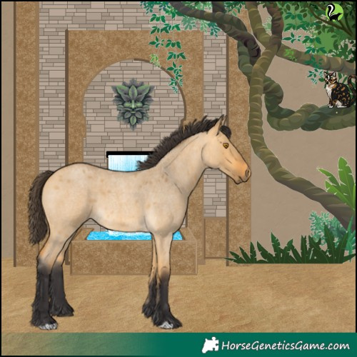 Horse Color:Buckskin Roan Dun 