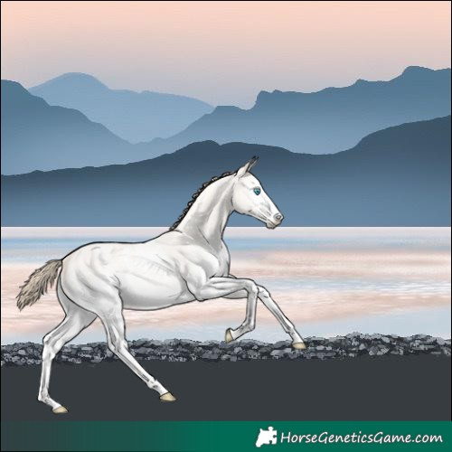 Horse Color:White Spotted Perlino Roan Dun