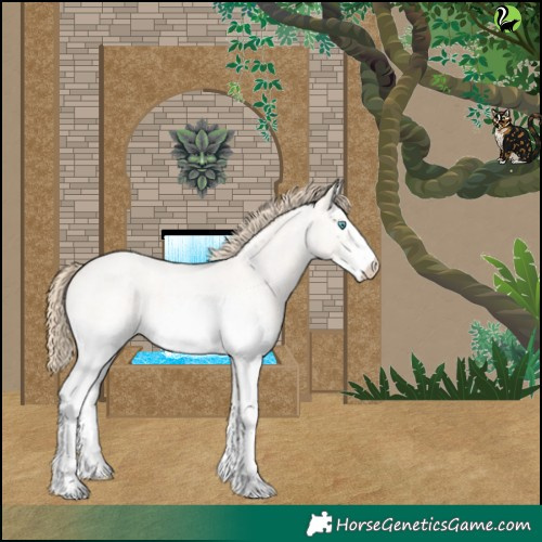 Horse Color:White Spotted Perlino Roan Dun