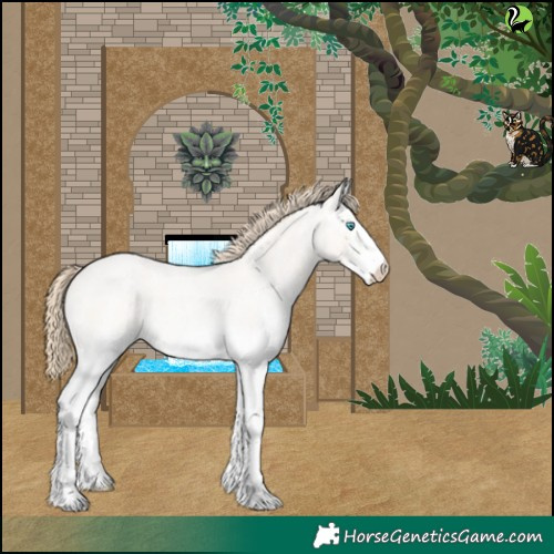 Horse Color:White Spotted Perlino Roan Dun