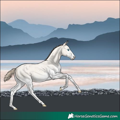 Horse Color:White Spotted Perlino Roan Dun