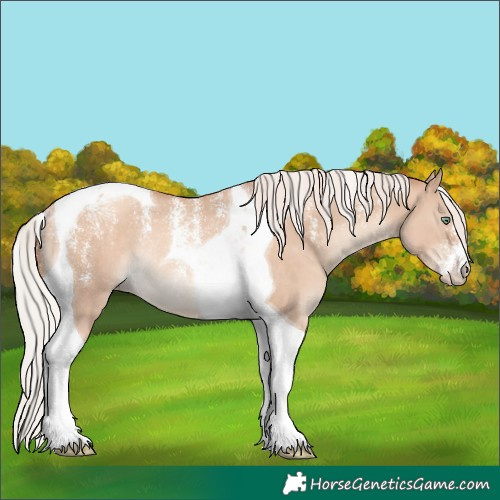 Horse Color:Powder White Silver Sable Champagne Dun Tobiano Rabicano 