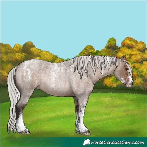 Horse Color:Powder White Silver Brown Roan Dun Rabicano 