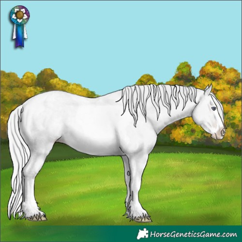 Horse Color:Powder White Silver Classic Champagne Chinchilla Dun Splash Tobiano Rabicano