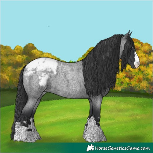 Horse Color:Blue Roan Blanket