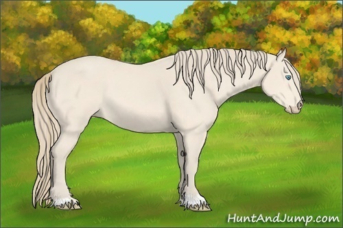 Horse Color:Perlino 