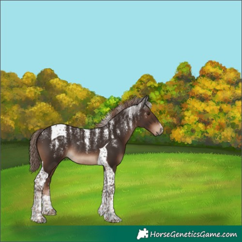 Horse Color:Powder White Liver Chestnut Tobiano Rabicano