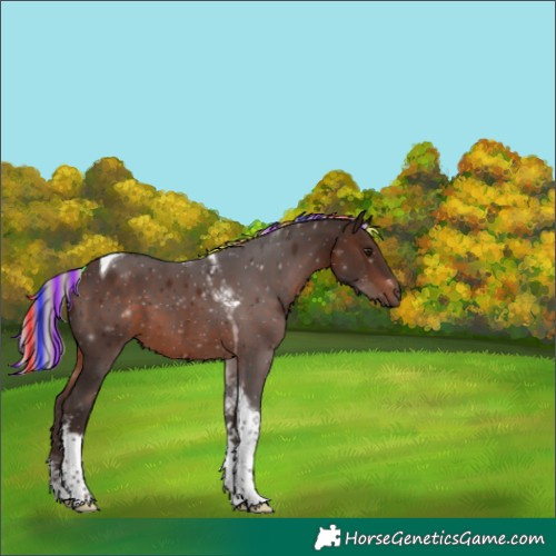 Horse Color:Painted Silver Brown Tobiano