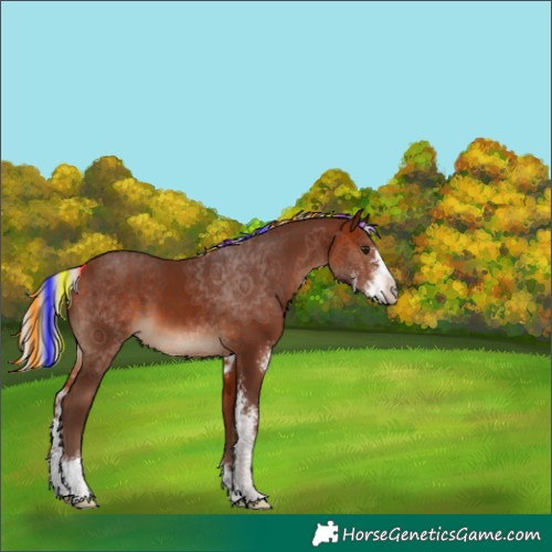 Horse Color:Painted Silver Bay Sabino 