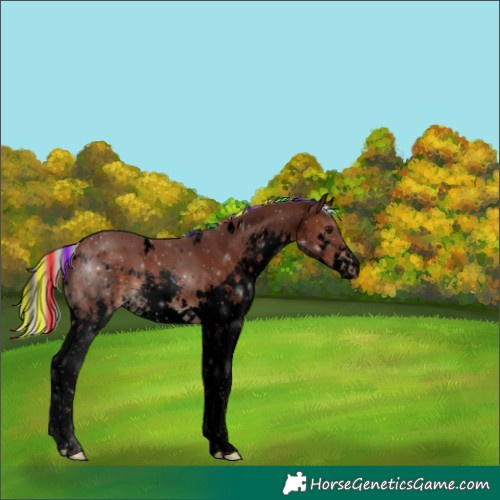 Horse Color:Void Painted White Spotted Chocolate Silver Brown Splash Varnish