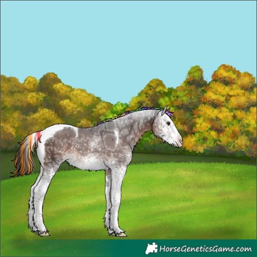 Horse Color:Painted White Spotted Liver Chestnut Ice Tobiano