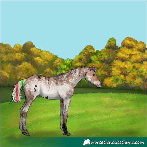 Horse Color:Powder White Void Painted White Spotted Silver Bay Ice Dun Rabicano 