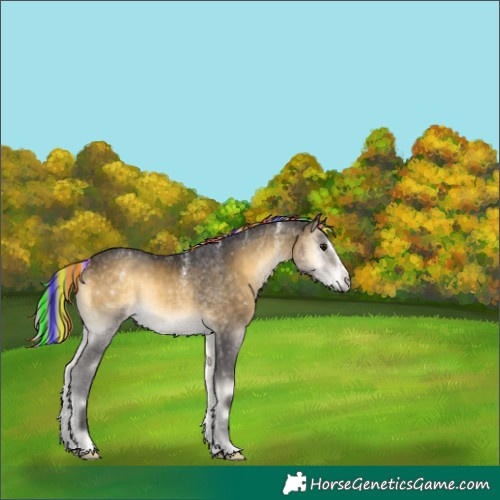 Horse Color:Powder White Painted Silver Buckskin Onyx Splash 