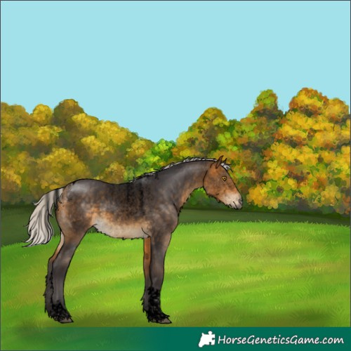 Horse Color:Powder White Void Silver Buckskin Tobiano 