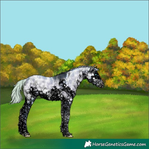 Horse Color:Void Watercolor White Spotted Silver Brown Ice Onyx Splash Tobiano 