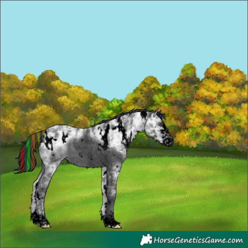 Horse Color:Void Painted White Spotted Brown Chinchilla Ice Sabino