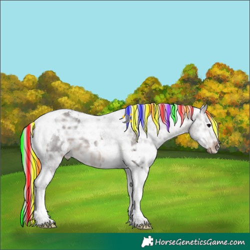Horse Color:Painted White Spotted Silver Brown Ice Tobiano