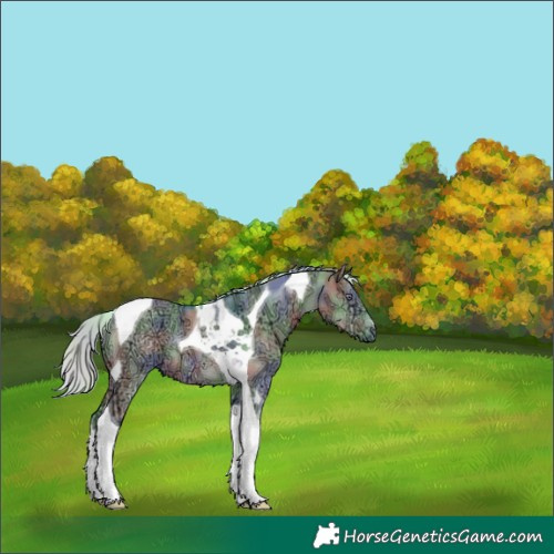 Horse Color:Nacre Watercolor Silver Grullo Chinchilla Ice Tobiano 