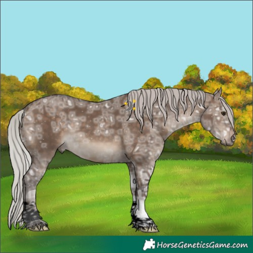 Horse Color:Void Silver Brown Ice Dun Tobiano