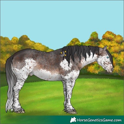 Horse Color:Brown Splash Tobiano 