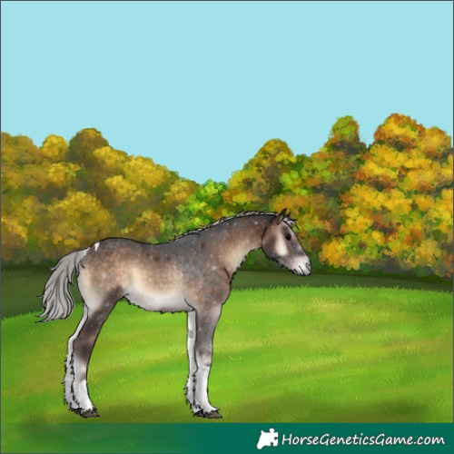 Horse Color:Silver Brown Onyx Tobiano 