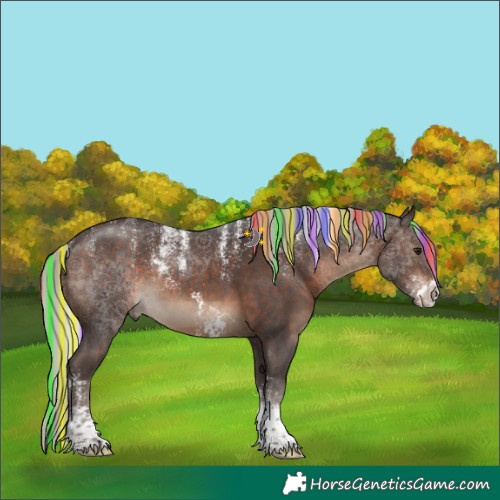 Horse Color:Powder White Painted Silver Brown Sabino 