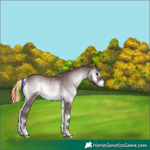 Horse Color:Gray Painted Chocolate Silver Blue Onyx Chinchilla Sabino