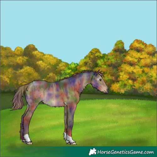 Horse Color:Gray Nacre Liver Red Dun Tobiano Brindle 