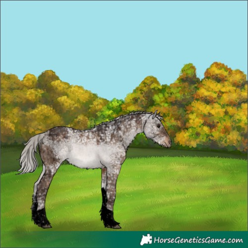 Horse Color:Void Silver Brown Ice Dun Sabino Tobiano Brindle