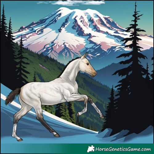 Horse Color:Buckskin Roan Dun Sabino