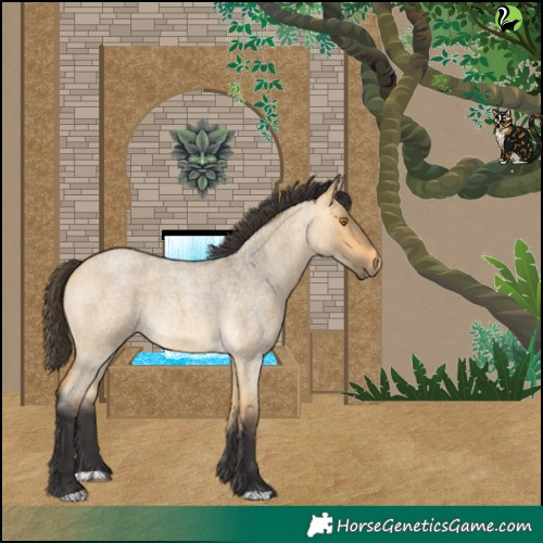 Horse Color:Buckskin Roan Dun